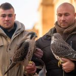 Что такое Кракен Даркнет. Смертельная гонка: к чему приведёт погоня за светом